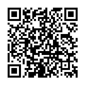 我做出的所有改变都只是为了不被你抛弃――在我们的关系中二维码生成