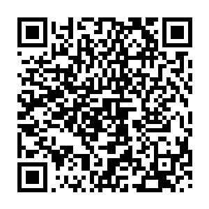 我催动追踪骨器店老板的可隐身纸人也进去那小门去骨器店后面的院子里待着二维码生成