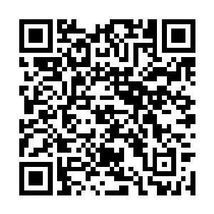 我僵着被风吹得冰冷的手脚慢慢的走回到那间精舍二维码生成