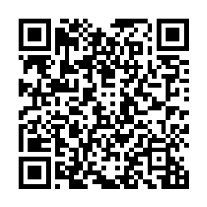 我儿媳妇风莲在你儿子江帆的济世医院治疗病回家之后二维码生成