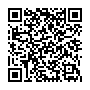 我儿并不知道那几个无角人是小殿下请来的客人二维码生成