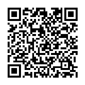 我儿来擒拿离光圣者是为了离光圣者得到的宝藏二维码生成