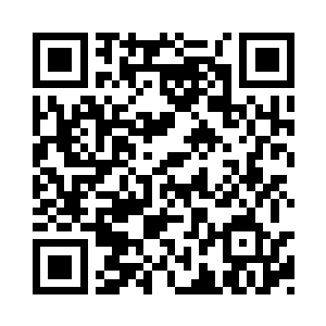 我兄弟二人乃是族中数万年来天赋最强的天才二维码生成
