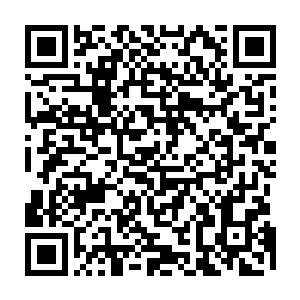 我光是瞄一眼就知道我虽然小但也没小到能从这么小的气窗里飞出去的可能二维码生成