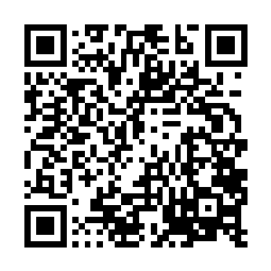 我全身的肌肉和皮肤已经全被炼化之力焚成了灰烬二维码生成