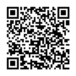 我兴奋地大吼恶心一点算什么只要能够增强力量我什么都不在乎二维码生成