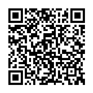 我其实早就暗地里得到了所有汝月家的消息资料二维码生成
