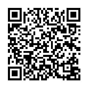 我再也不想过这种每天顶着臭鸡蛋上班的日子了二维码生成