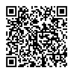 我再从储物戒内取出一根银针分别刺入地面上剩余几只蚊子的尸体二维码生成