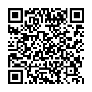 我再创造出一个全新的仙界肯定比现在强大得多二维码生成