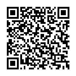 我再没有正式收到任何关于其他人选调整的消息二维码生成