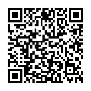 我再给你配一辆最新限量款的兰博基尼跑车如何二维码生成