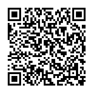 我再问夕纪子当极其厉害残暴鬼魂现身残杀了熄灭最后一支蜡烛的人之后二维码生成