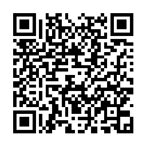 我军的细作却是分明发现吴懿当初率巴西军出征时二维码生成