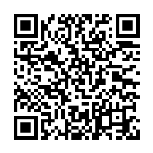 我准备将魂医开始大范围的传授给子轩门的门人二维码生成