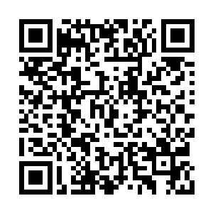 我准备用这些地皮建造东海市第一条商业一条街二维码生成