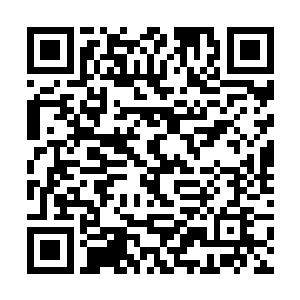 我出生在一个中产家庭……我真不知道自己要说什么二维码生成