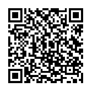 我分离出了藻类植物高效删除垃圾dna的行为编码……二维码生成