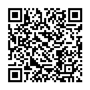 我分给你们的灵石足够你们乘坐传送阵和以后生活的二维码生成