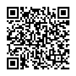 我则选了一个视角合理的地方居高临下去观察那个坐标点的动静二维码生成