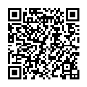我刚出道的时候就经历过克什米尔密宗伏藏修心一关的考验二维码生成