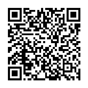 我刚刚在岔路口的时候就感觉到右边这条路有一丝段夏槐的气息二维码生成