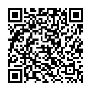 我刚刚明明听到有人说他们会不无道理他的身边的二维码生成