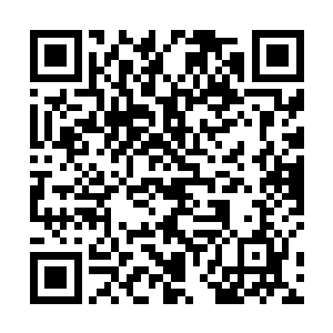 我刚才已经让他拿着混元城城主的令牌出去杀那些人了二维码生成