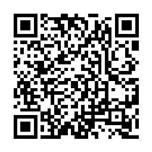 我刚才根本就不知道发生什么事情啊……警官……你相信我二维码生成