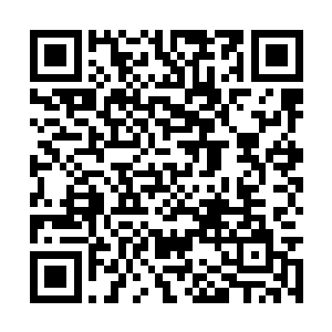 我刚才看到白奇雪的时候立刻就想起了刚才做的梦二维码生成