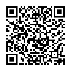 我刚才看见中央区和中心区那边竟然没有一丁点魔力金属了~二维码生成