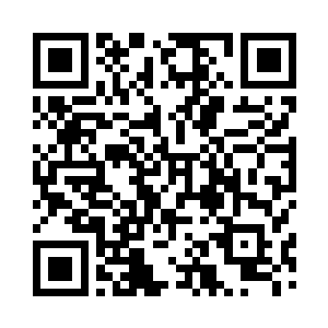 我到不记得当时我和春兰看这盆花时二维码生成