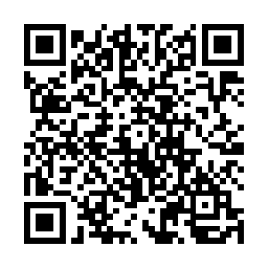 我到了距离那个掩在葱翠绿荫中的别墅五百余米的地方二维码生成