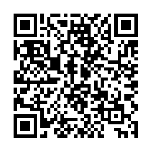 我刻意外放的气息很快就引起了附近家族仙人的关注二维码生成