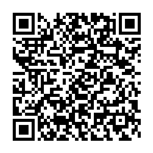 我前一阵子还在金港湾看见她们呢……说起来她们好像也有点闷闷的二维码生成