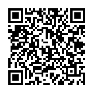 我前往用元气重水滋养浩劫神剑的主神塔的应劫台二维码生成