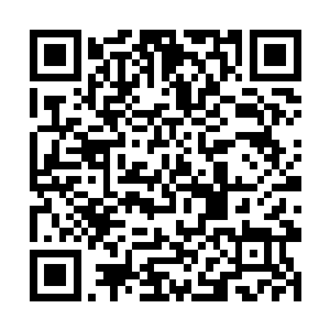 我前日来还没见这伤……想必是昨日他们才用的私刑二维码生成