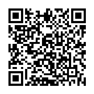 我劝你还是多点时间先了解一下新湖区人社局的情况二维码生成