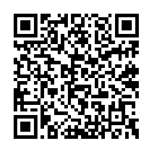 我劝你还是要表现出必要的尊重哪怕是表面上的二维码生成