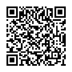 我劝你还是赶紧像米歇尔那样蹲着撒泡尿当镜子二维码生成
