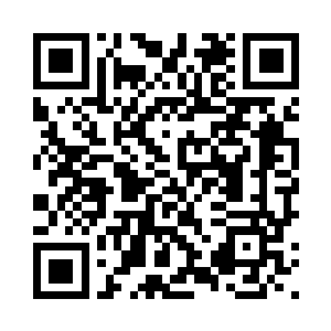 我单独入场或者跟主演们一起就行二维码生成