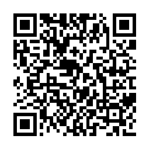 我却偷偷的将一丝灵魂力量藏在了你的身躯之中二维码生成