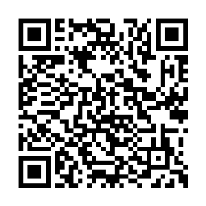 我却是对左司父亲钦佩不已并心甘情愿认其为主二维码生成