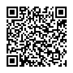 我却莫名的想起了那个被真神自爆都不死的泰坦化身二维码生成