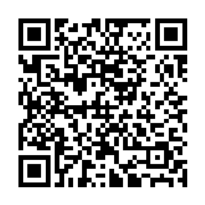 我原以为她是觉得樊小姐的衣服很贵很漂亮才多看几眼二维码生成