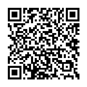 我原以为崩剧脱壳的几率百分之五十就已经够高二维码生成