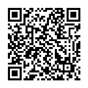 我原以为水口组的老大应该是一个有大气魄大胸怀的人二维码生成