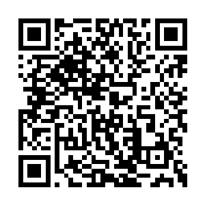 我原以为这世上最恨燕无暇的那个贱人的只有我二维码生成