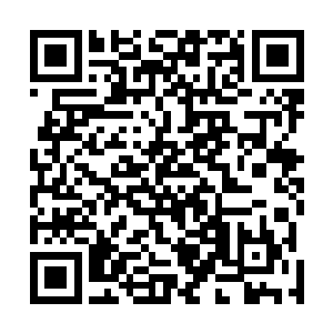 我原本以为你会很清楚现在的局势对于你而言是有多不利二维码生成