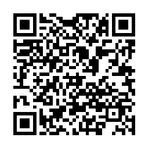 我原本想着像这些搞施工设计的人是看不懂这玩意儿的二维码生成
